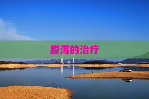 腹泻的治疗