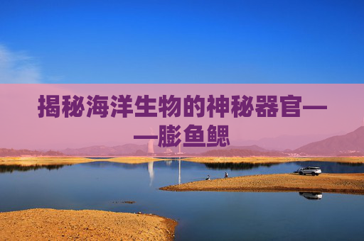 揭秘海洋生物的神秘器官——膨鱼鳃