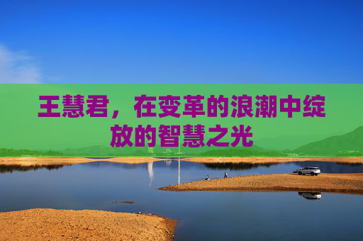 王慧君，在变革的浪潮中绽放的智慧之光