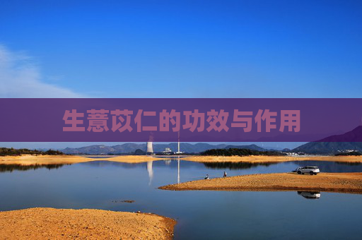 生薏苡仁的功效与作用