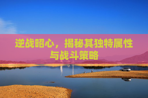逆战昭心，揭秘其独特属性与战斗策略