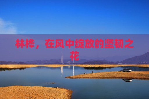 林桦,在风中绽放的坚韧之花 林桦,在风中绽放的坚韧之花
