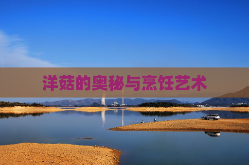 洋菇的奥秘与烹饪艺术