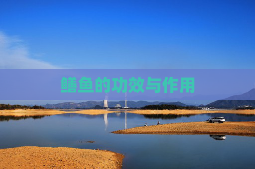 鳝鱼的功效与作用