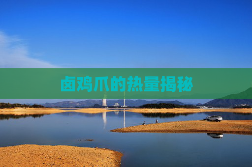 卤鸡爪的热量揭秘