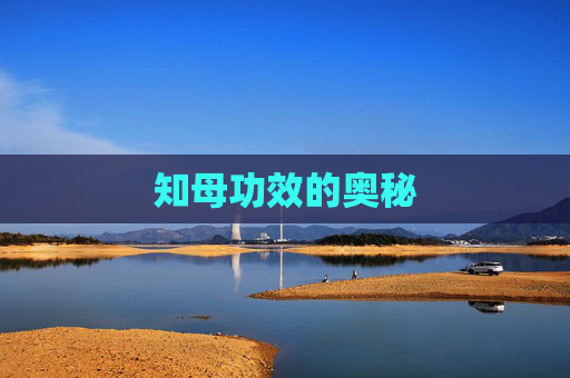 知母功效的奥秘