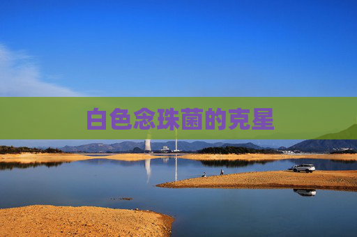 白色念珠菌的克星