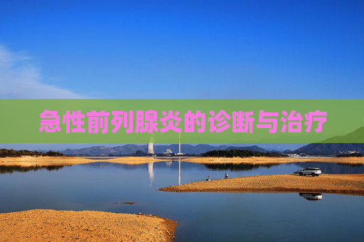 急性前列腺炎的诊断与治疗