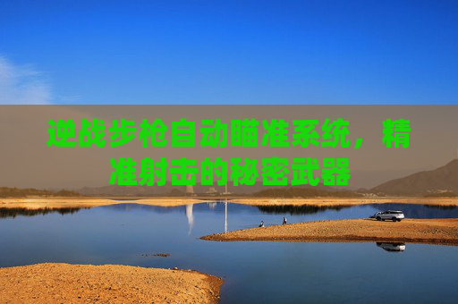 逆战步枪自动瞄准系统，精准射击的秘密武器