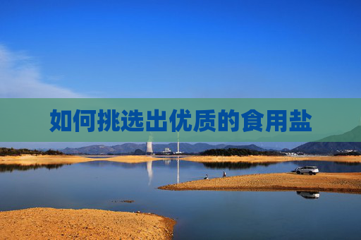 如何挑选出优质的食用盐