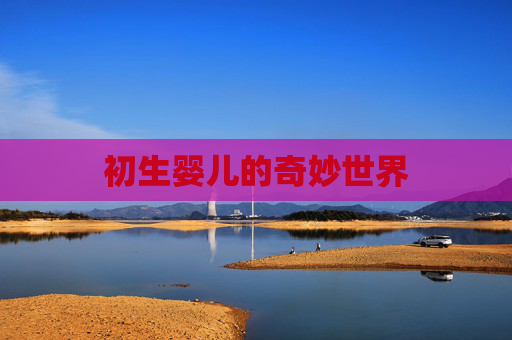 初生婴儿的奇妙世界