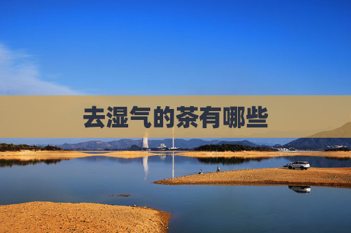 去湿气的茶有哪些