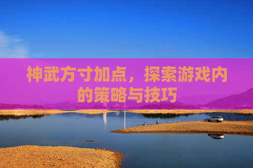 神武方寸加点，探索游戏内的策略与技巧