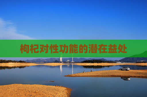 枸杞对性功能的潜在益处