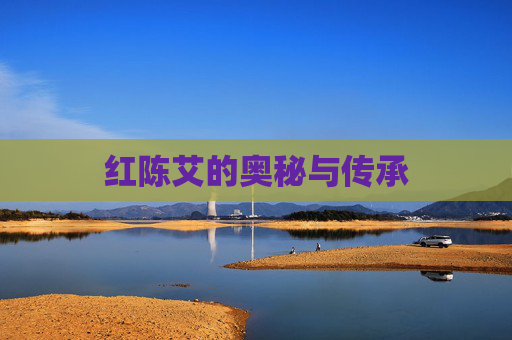 红陈艾的奥秘与传承