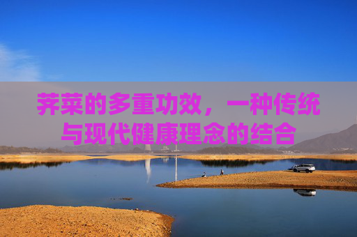 荠菜的多重功效，一种传统与现代健康理念的结合