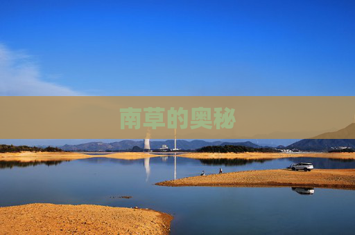 南草的奥秘