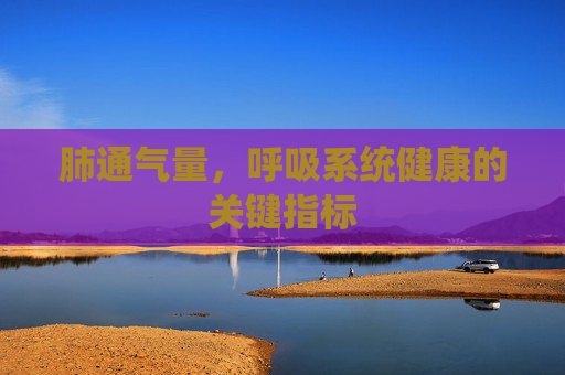 肺通气量，呼吸系统健康的关键指标