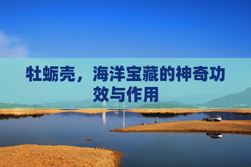 牡蛎壳，海洋宝藏的神奇功效与作用