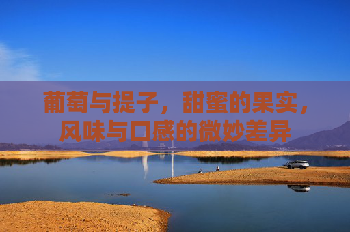 葡萄与提子，甜蜜的果实，风味与口感的微妙差异