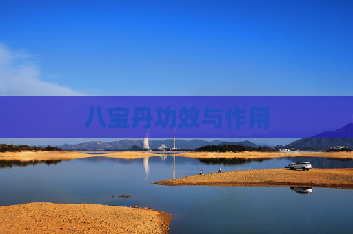 八宝丹功效与作用