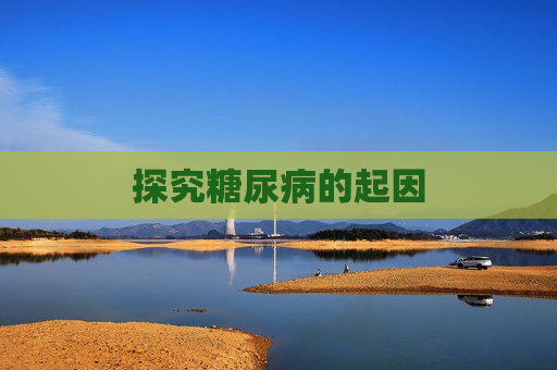 探究糖尿病的起因