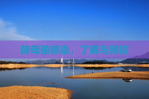 酵母菌感染，了解与预防