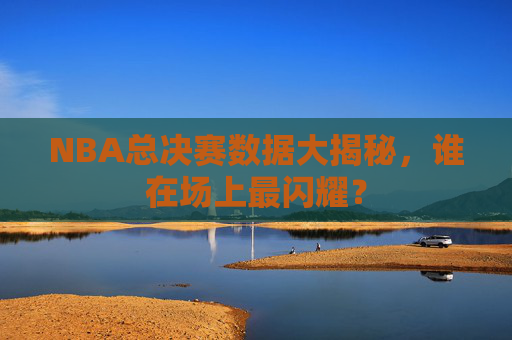 NBA总决赛数据大揭秘，谁在场上最闪耀？