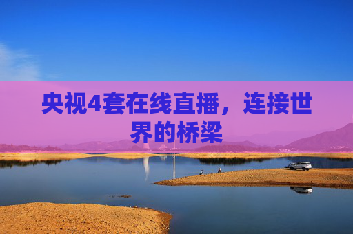 央视4套在线直播，连接世界的桥梁