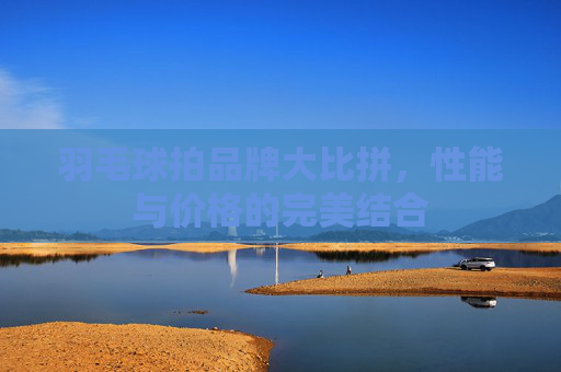 羽毛球拍品牌大比拼，性能与价格的完美结合