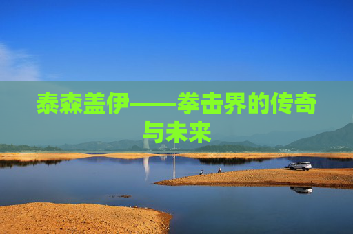 泰森盖伊——拳击界的传奇与未来 泰森盖伊——拳击界的传奇与未来
