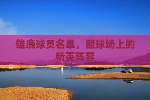 雄鹿球员名单，篮球场上的精英阵容