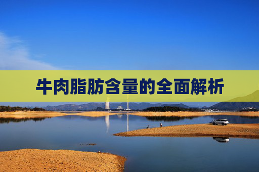 牛肉脂肪含量的全面解析