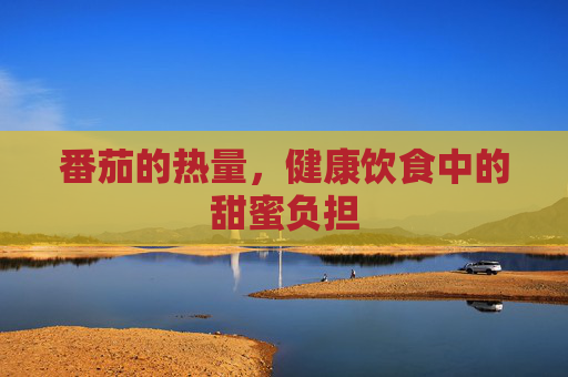 番茄的热量，健康饮食中的甜蜜负担