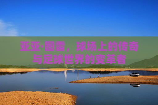 亚亚·图雷，球场上的传奇与足球世界的变革者