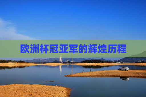 欧洲杯冠亚军的辉煌历程
