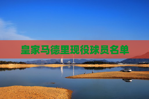 皇家马德里现役球员名单