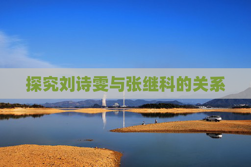 探究刘诗雯与张继科的关系