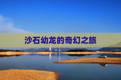 沙石幼龙的奇幻之旅