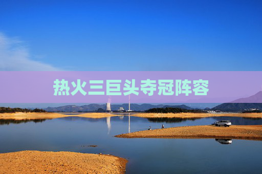 热火三巨头夺冠阵容