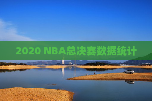 2020 NBA总决赛数据统计