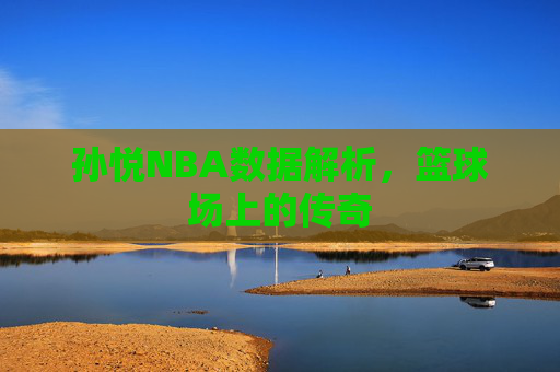 孙悦NBA数据解析，篮球场上的传奇