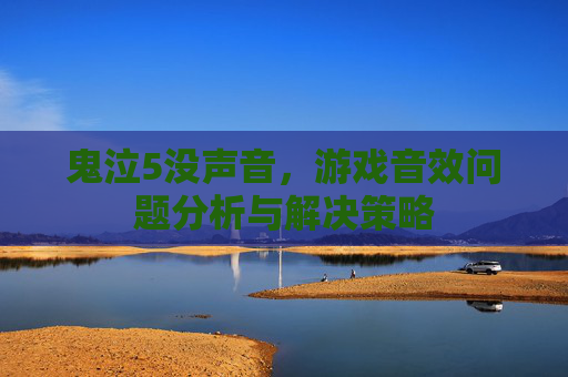 鬼泣5没声音，游戏音效问题分析与解决策略