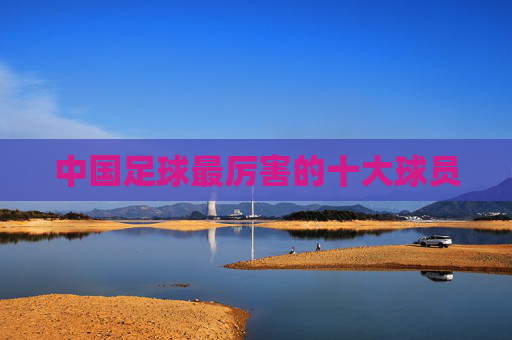 中国足球最厉害的十大球员
