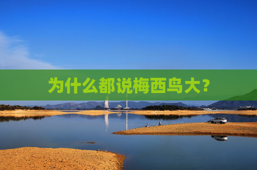 为什么都说梅西鸟大？