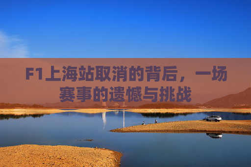 F1上海站取消的背后，一场赛事的遗憾与挑战