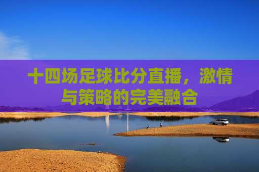 十四场足球比分直播，激情与策略的完美融合