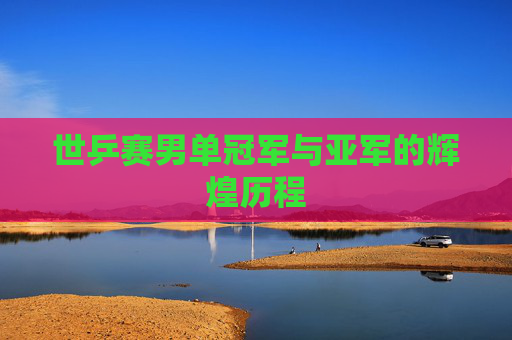 世乒赛男单冠军与亚军的辉煌历程