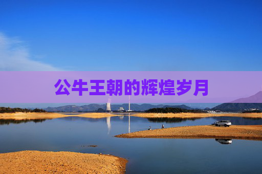 公牛王朝的辉煌岁月 公牛王朝的辉煌岁月