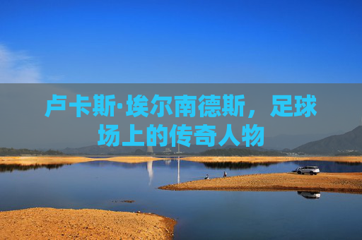卢卡斯·埃尔南德斯，足球场上的传奇人物